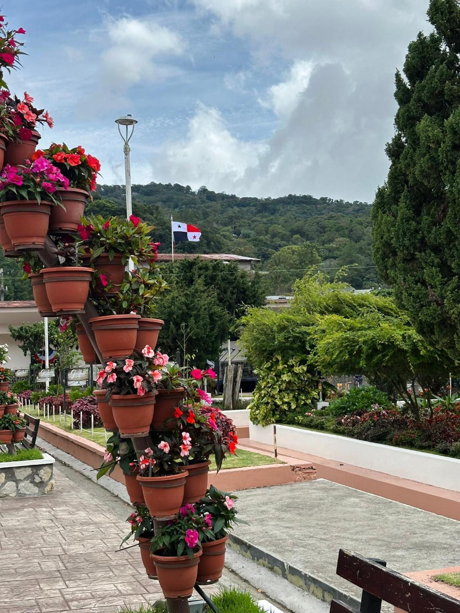 Bajo Boquete La Casa De Dona Cata酒店 外观 照片